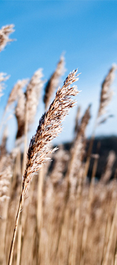 环球UG(中国集团)官方网站