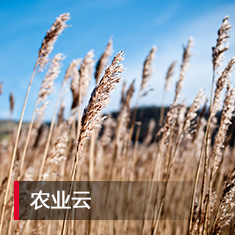 环球UG(中国集团)官方网站